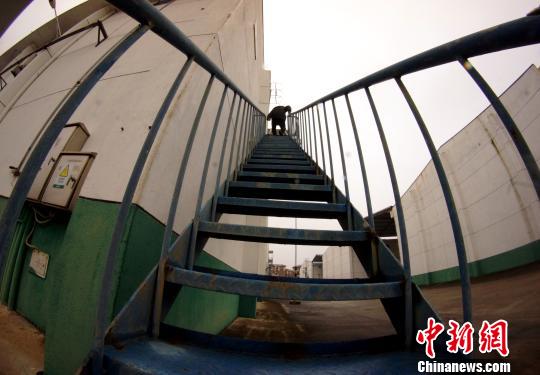 中央儲備糧江西泰和直屬庫有限公司保管員在倉庫巡查。　王昊陽 攝